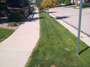 Jeff R.'s Lawn Care service result