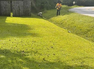 Allen J.'s Cleanups service result