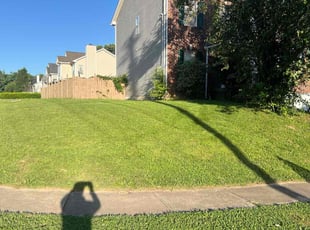Angel J.'s Yard Cutting service result