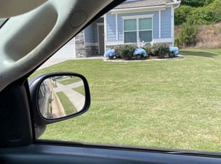 Bush Trimming by Mark Perugini for Pamela B. in Cartersville, GA
