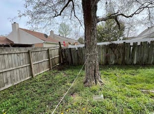 Leaf Removal by Byron Gordy for Gracie N. in Richland, MS