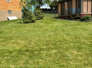 Roberto R.'s Lawn Care service result