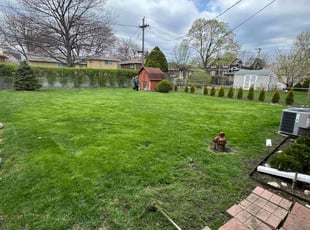 Susan S.'s Lawn Mowing service result