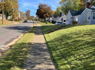 Otis M.'s Lawn Care service result