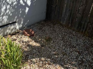 Weeding by Uriel Aldrete for Tom R. in Citrus Heights, CA