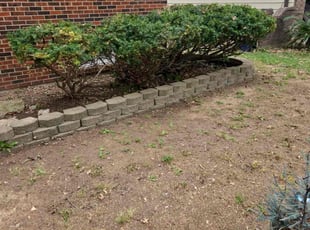 Bush Trimming by Marcus Alexander for Shanon O. in Kansas City, MO