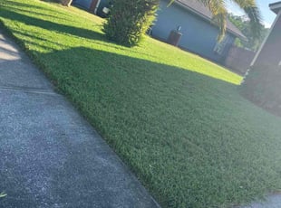 Laura M.'s Lawn Mowing service result