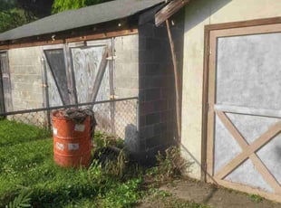 Sheila, J.'s Leaf Removal service result