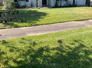 Bader A.'s Lawn Care service result