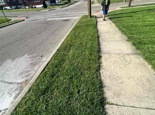 Leaf Removal by Teneshia Eason for Jamison W. in Cincinnati, OH