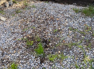 Cleanups by Joey Phelps for Vanessa K. in Lee's Summit, MO