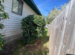 Bush Trimming by Valentin Velasco for Martin B. in Grand Rapids, MI