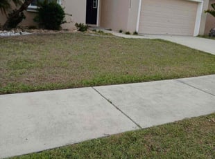 Weeding by Nathaniel Deshun Walker for Tamika F. in Gibsonton, FL