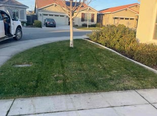 Leaf Removal by Ramon Mojica for Zander F. in Rocklin, CA