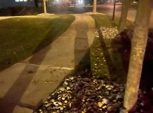 Leaf Removal by C C for Raelynn B. in Bath Township, MI