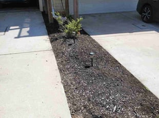 Cleanups by James Young for David T. in Baltimore, MD