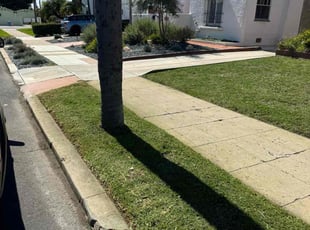 Gloria C.'s Grass Cutting service result