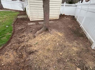Cleanups by Edwin Villagran for Chris C. in Olney, MD