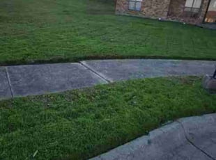 BILLY JOE S.'s Lawn Service service result