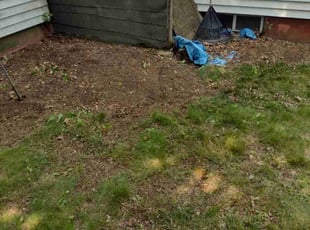Cleanups by Matthew Spinelli for Ashley A. in New Haven, CT