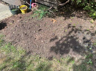 Barbara S.'s Flower Bed Weeding service result