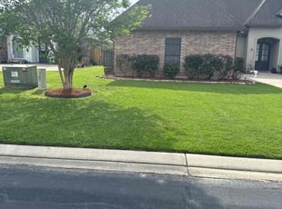 Greg C.'s Lawn Mowing service result
