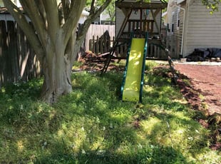 Bush Trimming by Don Jones for Stephanie M. in Virginia Beach, VA
