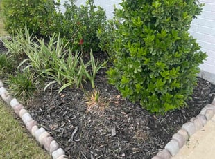 Weeding by Ricky Bowie for Abigail F. in Cypress, TX