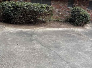 Bush Trimming by Jerry Wells for Zipporah N. in Baton Rouge, LA