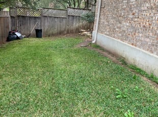 Leaf Removal by Benito Perez for Chris S. in Austin, TX