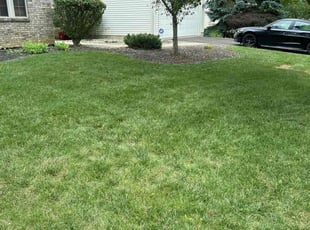 David M.'s Yard Cutting service result