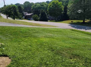 John L.'s Lawn Care service result