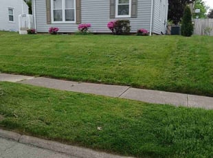 Terry K.'s Lawn Care service result