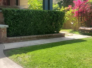 Don R.'s Bush Trimming service result