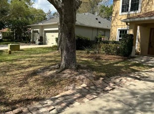 Bush Trimming by Mike Szpara for Zach L. in DeBary, FL