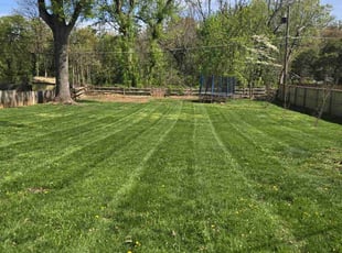 Josephine H.'s Yard Cutting service result