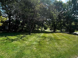 Thomas R.'s Lawn Care service result