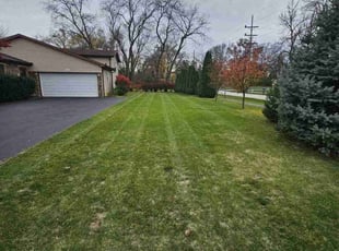 Leaf Removal by Ryan LeBreux for Hank C. in Willowbrook, IL