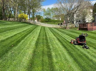efua t.'s Lawn Service service result