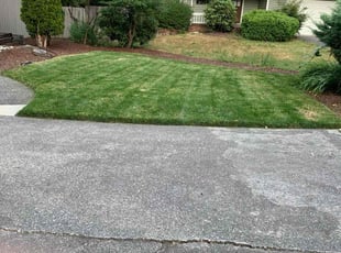 Megan Z.'s Lawn Mowing service result