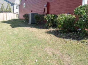 Bush Trimming by Montgomery Roberts for Shayna M. in Canton, GA
