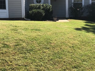 Bush Trimming by Antuanne Kerr for Mary H. in Pineville, NC