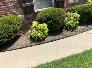 Weeding by James Doss for Jeremy S. in Fayetteville, AR