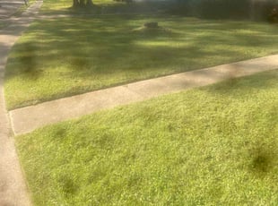 Duane S.'s Lawn Mowing Service service result
