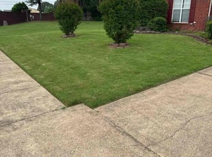 Jack M.'s Yard Cutting service result