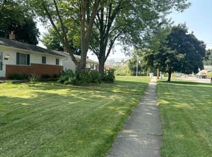 Abigail S.'s Lawn Mowing service result