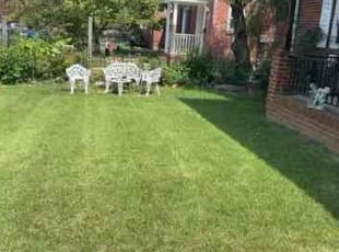LaTosha G.'s Lawn Mowing Service service result