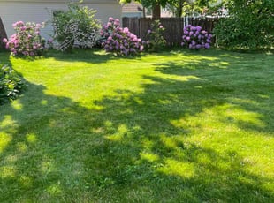 Marcus V.'s Lawn Care service result