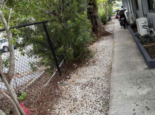 Keysha C.'s Cleanups service result