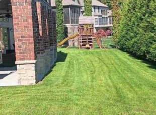 Achirangshu D.'s Lawn Maintenance service result